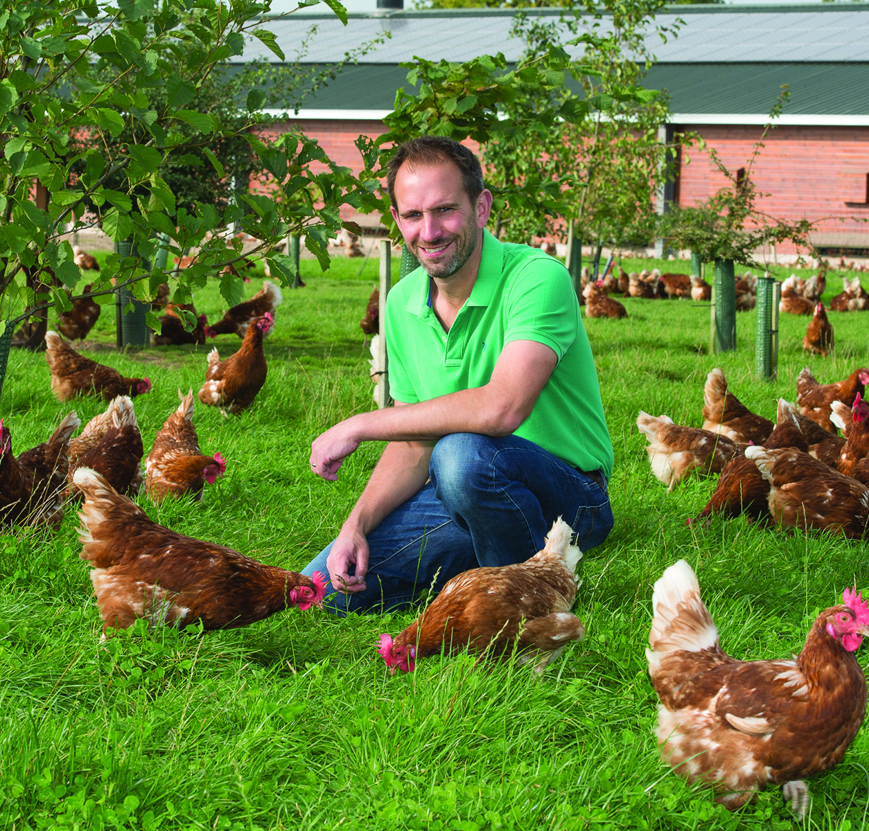 A free range egg producer with hens on pasture beside housing